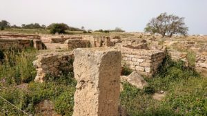 チュニジア：のケルクアン遺跡の散策はまだまだ続く1