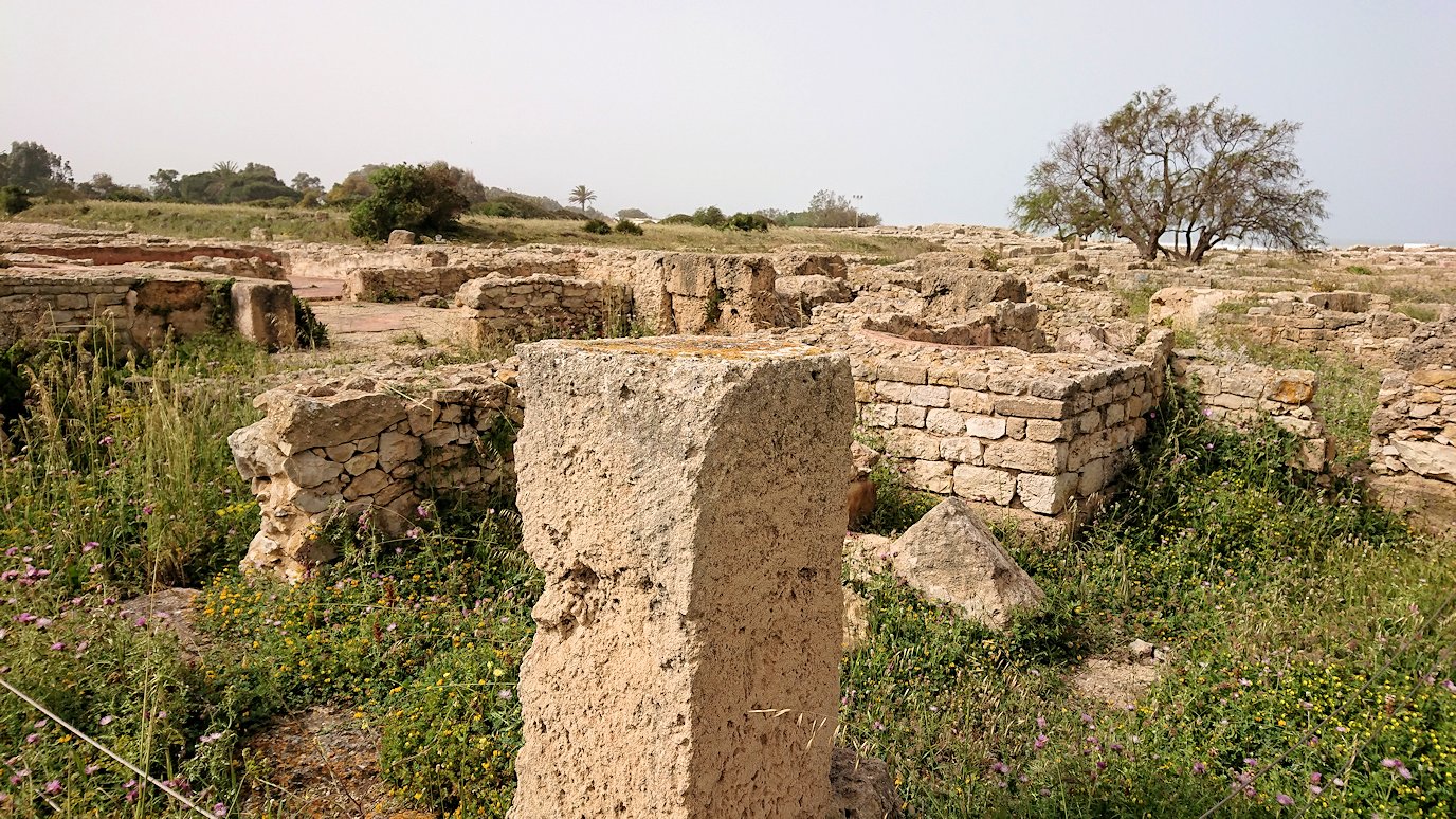 チュニジア：のケルクアン遺跡の散策はまだまだ続く1
