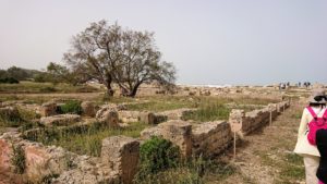 チュニジア：のケルクアン遺跡の散策はまだまだ続く4