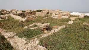チュニジア：のケルクアン遺跡の散策はまだまだ続く6