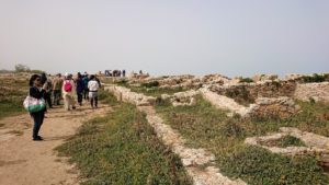 チュニジア：のケルクアン遺跡の散策はまだまだ続く7