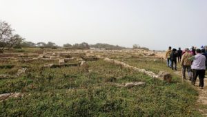 チュニジア：のケルクアン遺跡の散策はまだまだ続く8