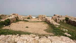 チュニジア：のケルクアン遺跡の散策はまだまだ続く9