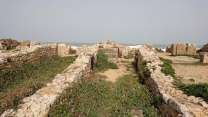 チュニジア：のケルクアン遺跡の海沿いを見学