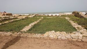 チュニジア：のケルクアン遺跡の海沿いを見学1