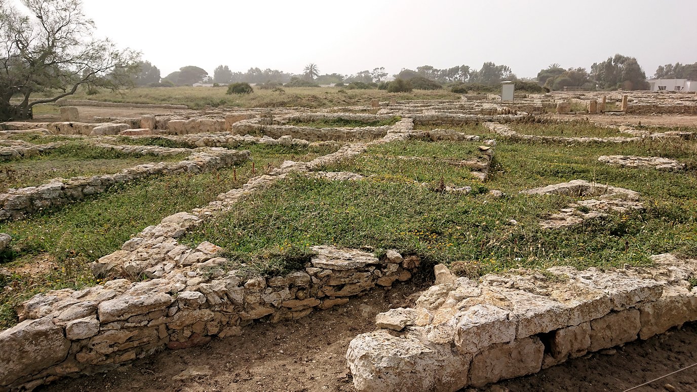 チュニジア：のケルクアン遺跡の海沿いを見学2