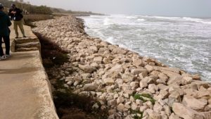 チュニジア：のケルクアン遺跡の海沿いを見学8