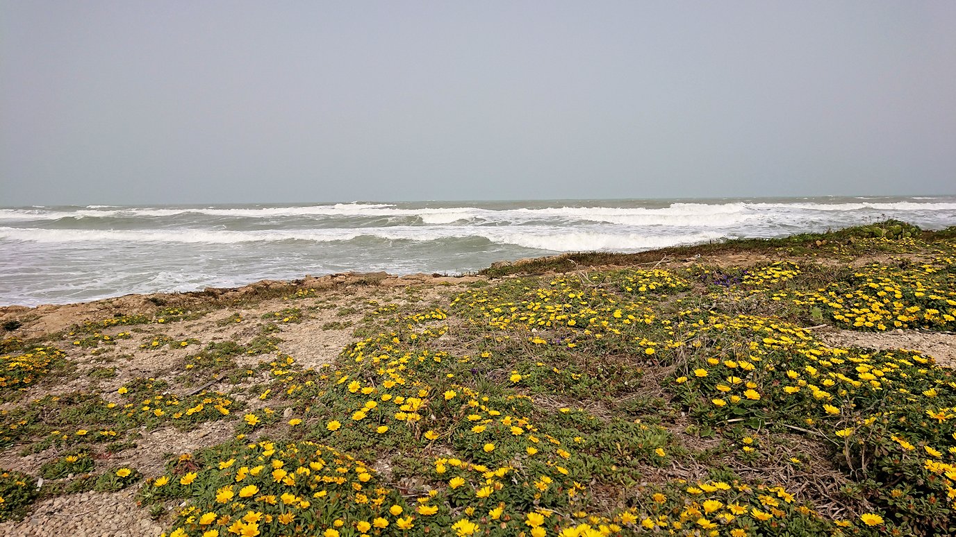 チュニジア：のケルクアン遺跡の海沿いの様子9