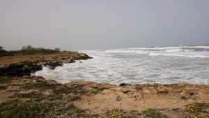 チュニジア：のケルクアン遺跡の海沿いの様子