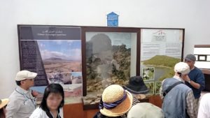 チュニジア：イシュケウル国立公園の頂上の自然博物館での様子7