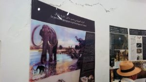 チュニジア：イシュケウル国立公園の頂上の自然博物館での様子8