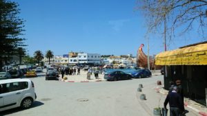 チュニジア：イシュケウル国立公園からビゼルトの街へ移動7
