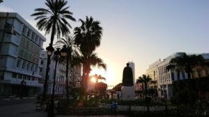 チュニジア：チュニスの朝を気持ちよく散策する8
