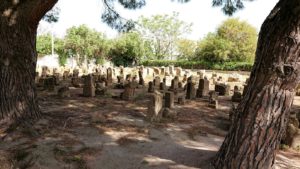 チュニジア：カルタゴ遺跡のトフェ(タニト神の聖域)を見学6