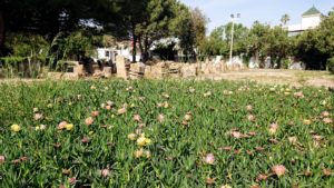 チュニジア：カルタゴ遺跡のトフェ(タニト神の聖域)を見学9