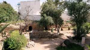 チュニジア：カルタゴ遺跡のトフェ(タニト神の聖域)を散策