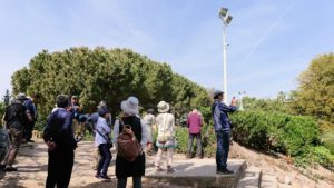 チュニジア：カルタゴ遺跡のトフェ(タニト神の聖域)を散策2