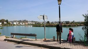 チュニジア：カルタゴ遺跡のトフェ(タニト神の聖域)を散策8