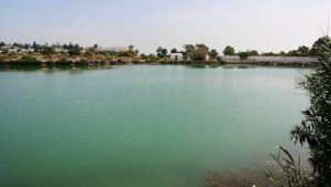 チュニジア：カルタゴ遺跡のトフェ(タニト神の聖域)近くの湖にて