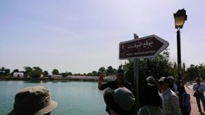 チュニジア：カルタゴ遺跡のトフェ(タニト神の聖域)近くの湖にて2
