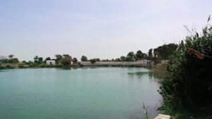 チュニジア：カルタゴ遺跡のトフェ(タニト神の聖域)近くの湖にて3