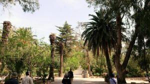 チュニジア：カルタゴ遺跡のアントニヌスの共同浴場へ向かう6