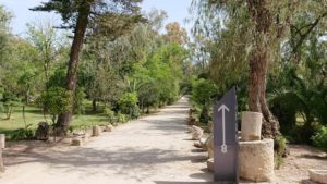 チュニジア：カルタゴ遺跡のアントニヌスの共同浴場へ向かう7