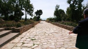 チュニジア：カルタゴ遺跡のアントニヌスの共同浴場へ入ります8