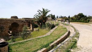 チュニジア：カルタゴ遺跡のアントニヌスの共同浴場を見下ろす8