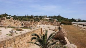 チュニジア：カルタゴ遺跡のアントニヌスの共同浴場内で最後まで粘る5