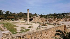 チュニジア：カルタゴ遺跡のアントニヌスの共同浴場内で最後まで粘る6