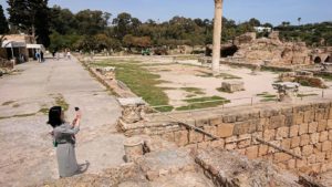 チュニジア：カルタゴ遺跡のアントニヌスの共同浴場内で最後まで粘る7