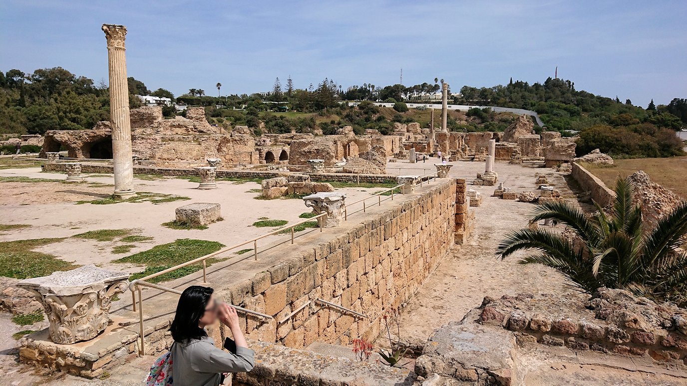 チュニジア：カルタゴ遺跡のアントニヌスの共同浴場内で最後まで粘る8