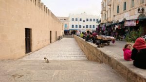 チュニジアのスースの街の旧市街を歩いて一周します