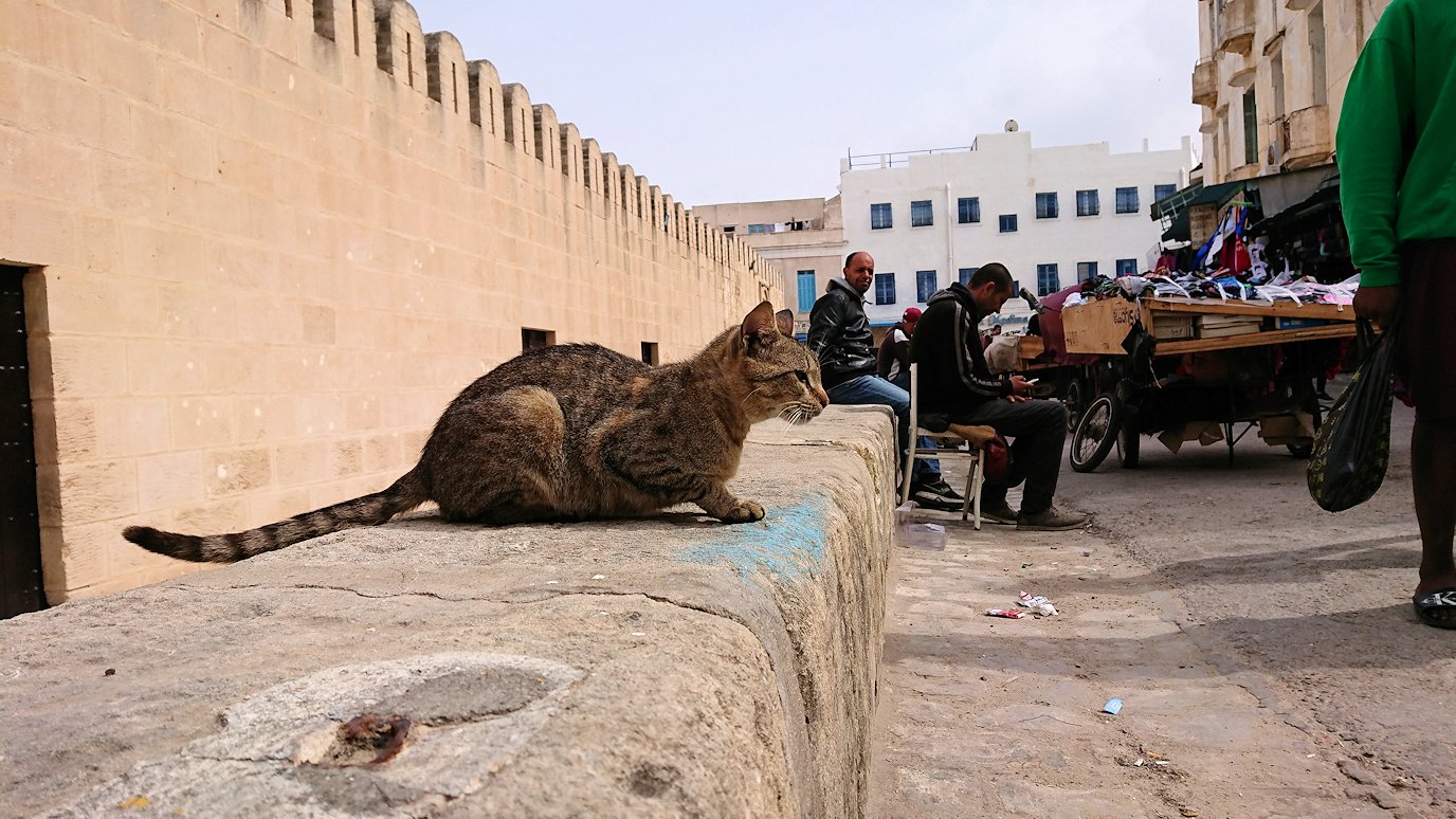 チュニジアのスースの街の旧市街を歩いて一周します3