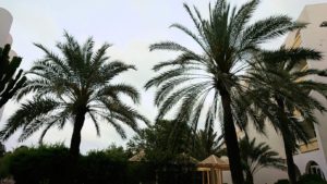 チュニジアのスースの街にある「マルハバ　ロイヤル　サレム」ホテルの様子を撮影8