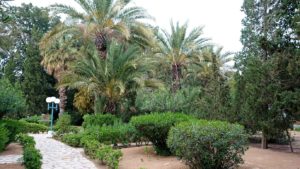 チュニジアのスースの街にある「マルハバ　ロイヤル　サレム」ホテル内を散策する6