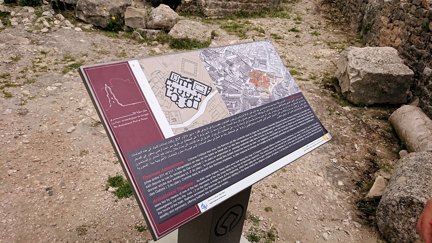 チュニジアのドゥッガ遺跡で住居跡を見学4