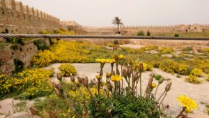 チュニジア：ケリビアの城塞内の様子は9