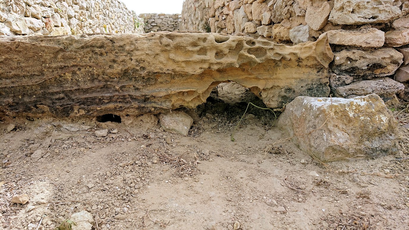 チュニジア：のケルクアン遺跡内を散策する