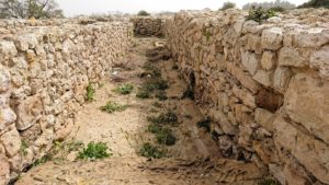 チュニジア：のケルクアン遺跡内を散策する1