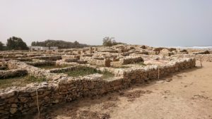 チュニジア：のケルクアン遺跡内を散策する4