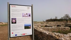 チュニジア：のケルクアン遺跡内を散策する5