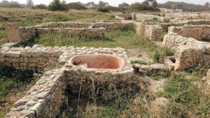 チュニジア：のケルクアン遺跡内を散策する6