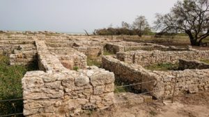 チュニジア：のケルクアン遺跡内を散策する7