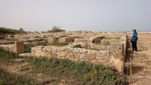 チュニジア：のケルクアン遺跡内を散策する8