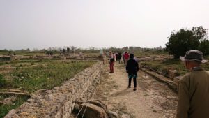 チュニジア：のケルクアン遺跡で見かけたものは？4