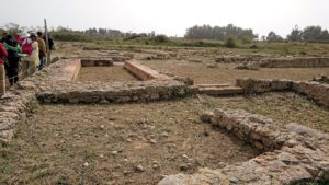 チュニジア：のケルクアン遺跡で見かけたものは？5