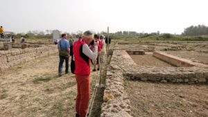 チュニジア：のケルクアン遺跡で見かけたものは？6