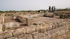 チュニジア：のケルクアン遺跡で見かけたものは？7